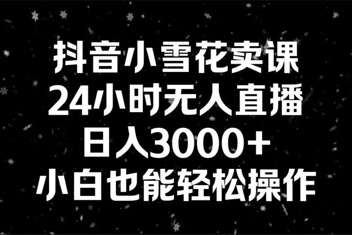 抖音小雪花卖课，24小时无人直播，日入3000+,小白也能轻松操作网创吧-网创项目资源站-副业项目-创业项目-搞钱项目网创吧