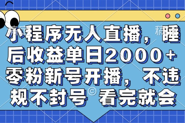 小程序无人直播，睡后收益单日2000+ 零粉新号开播，不违规不封号 看完就会网创吧-网创项目资源站-副业项目-创业项目-搞钱项目网创吧