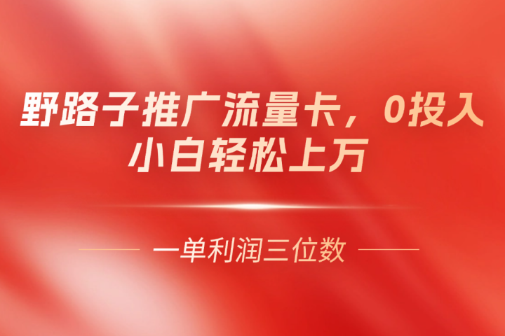 野路子推广流量卡，一单利润上百，0投入，小白月利润上万网创吧-网创项目资源站-副业项目-创业项目-搞钱项目网创吧
