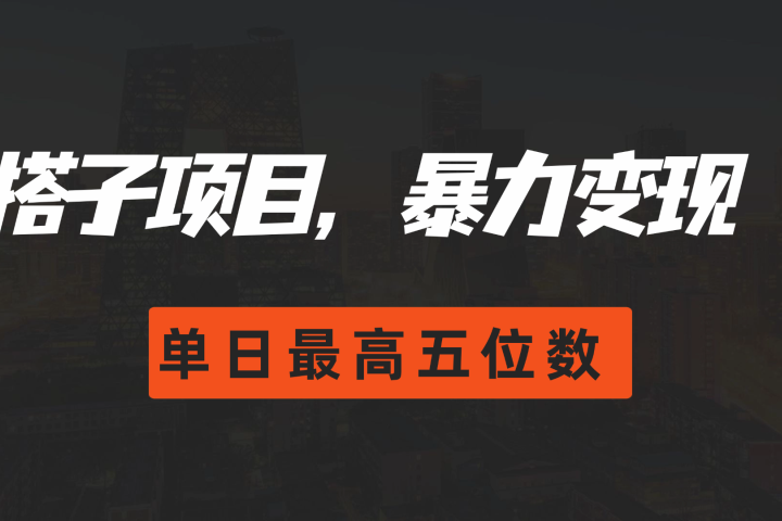 搭子项目，暴力变现，单日最高破五位数网创吧-网创项目资源站-副业项目-创业项目-搞钱项目网创吧